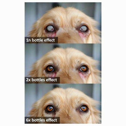aegiri NanoCare Pet Eye Drops-Relieves Conjunctivitis, Dry Eyes, Cataracts, and Keratitis