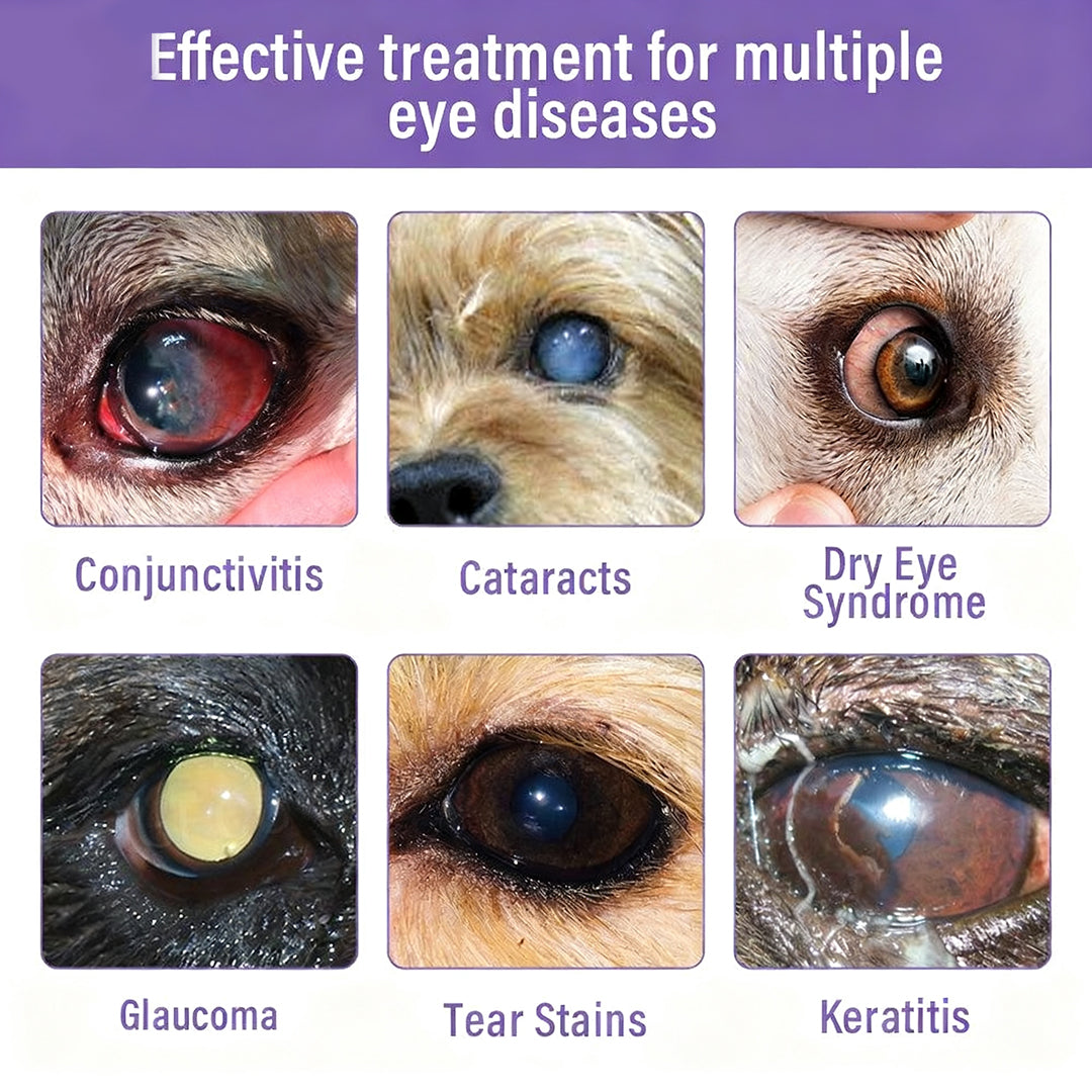 aegiri NanoCare Pet Eye Drops-Relieves Conjunctivitis, Dry Eyes, Cataracts, and Keratitis