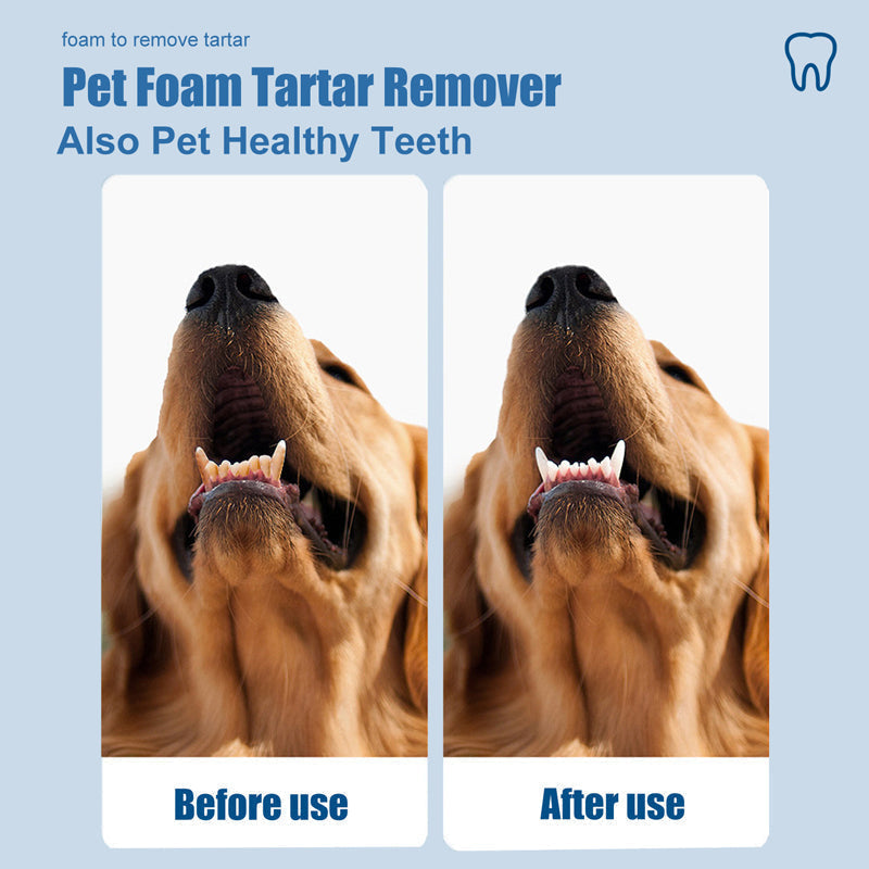 🐾 BUY 2 GET 1 FREE! ✨Pet Oral Care Foaming Tartar Remover