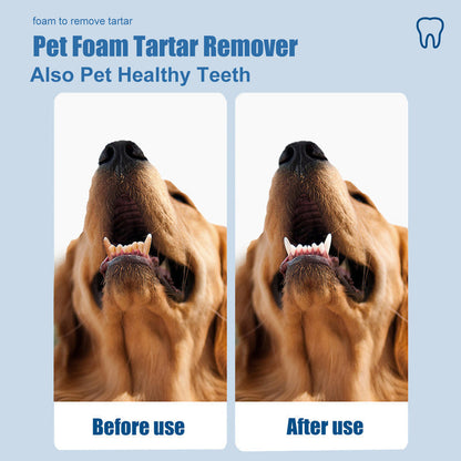🐾 BUY 2 GET 1 FREE! ✨Pet Oral Care Foaming Tartar Remover