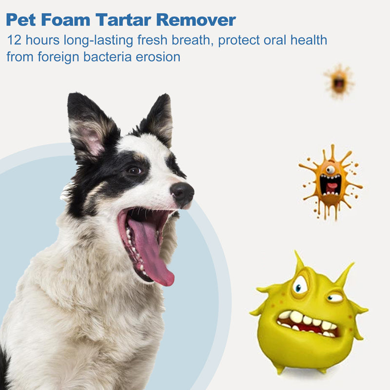 🐾 BUY 2 GET 1 FREE! ✨Pet Oral Care Foaming Tartar Remover